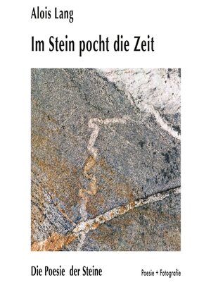 cover image of Im Stein pocht die Zeit